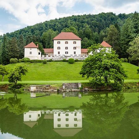 Grad Strmol Villa Церкле на Горенскем Екстериор снимка