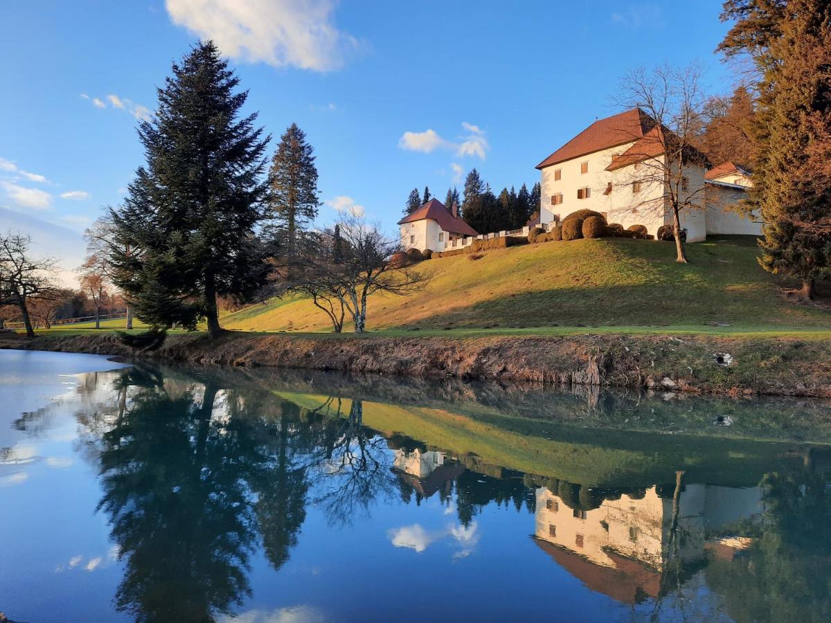Grad Strmol Villa Церкле на Горенскем Екстериор снимка