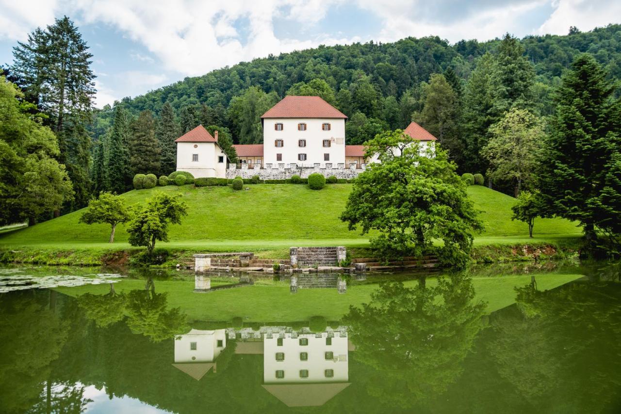Grad Strmol Villa Церкле на Горенскем Екстериор снимка