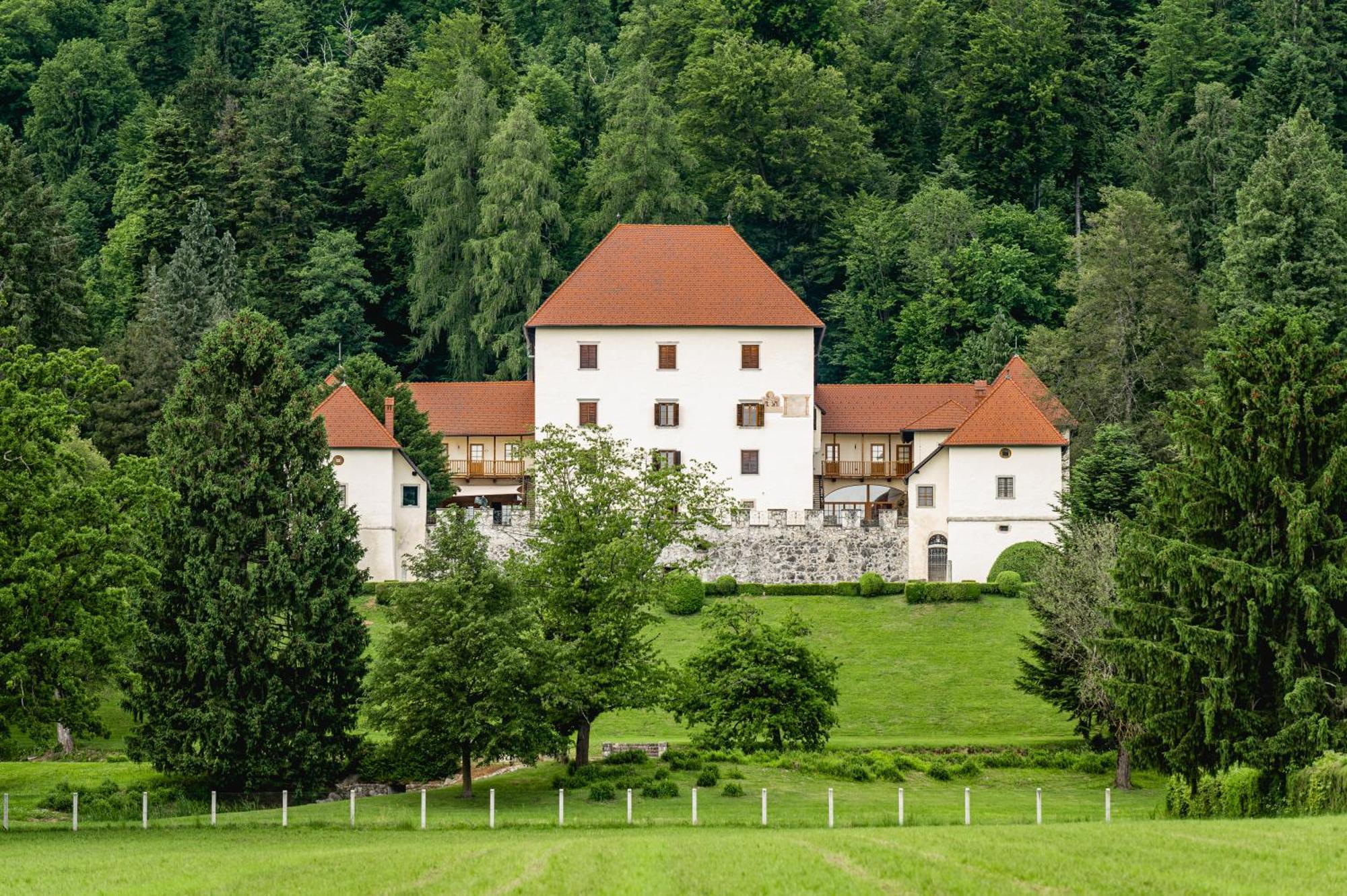 Grad Strmol Villa Церкле на Горенскем Екстериор снимка